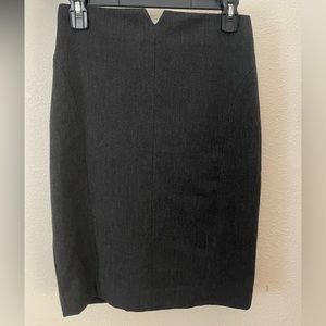 Express Pencil Skirt